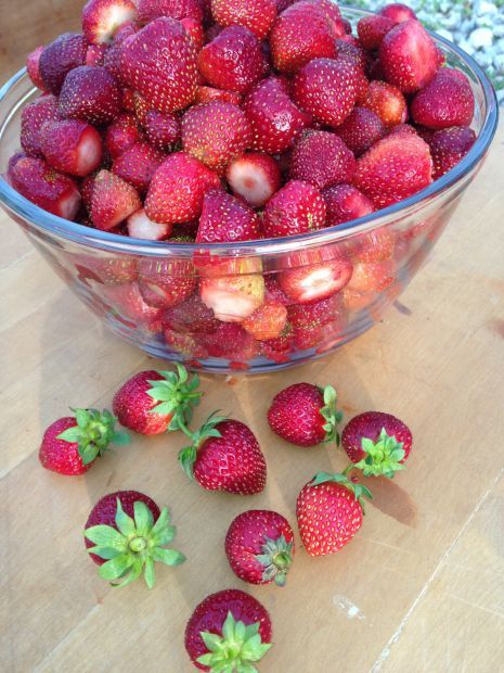 Heider's Berry Farm